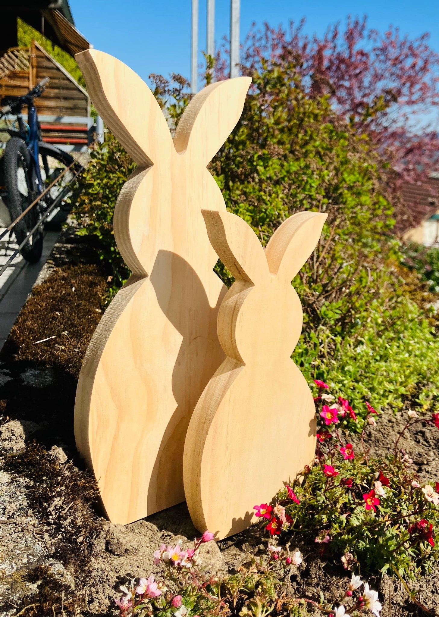 Hiestand-Weingut - Newsletter April